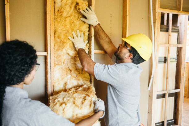 Types of Insulation We Offer in Robbins, NC